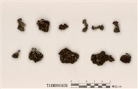 藏品(雲南石蕊)的圖片